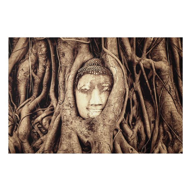 Fond de hotte - Buddha In Ayutthaya From Tree Roots Lined In Brown