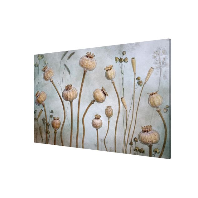 Tableaux magnétiques avec fleurs Dried Poppy Flower
