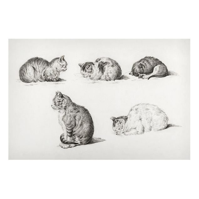 Tableaux chats Vintage Drawing Cat I