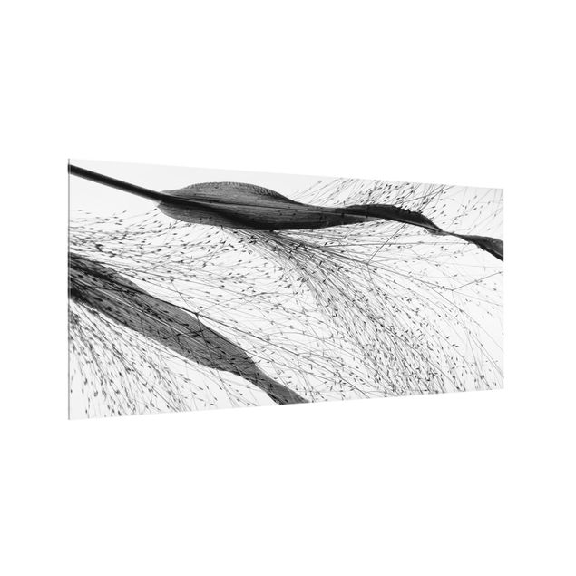 Fond de hotte verre Roseau délicat avec bourgeons subtils noir et blanc