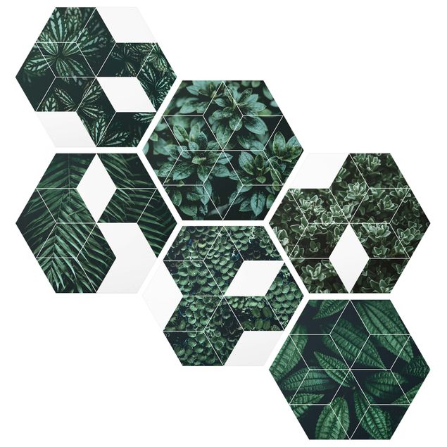 Tableaux dessins Feuilles vertes - Lot II de géométrie