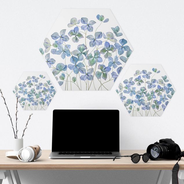 Hexagone en forex - Blue Hydrangea Flowers