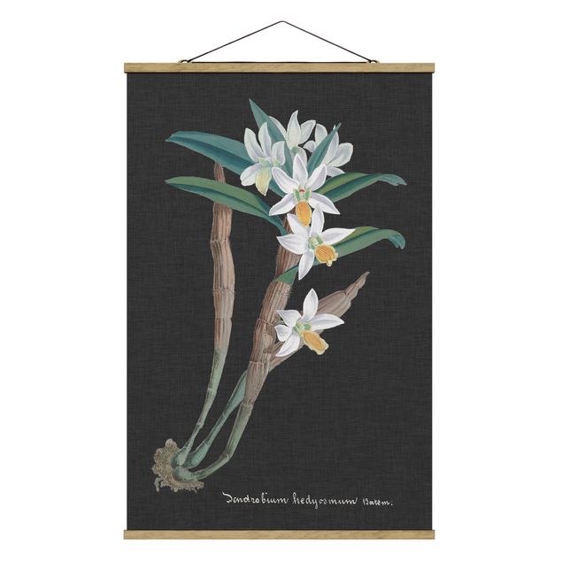 Tableaux vintage Orchidée blanche sur lin I
