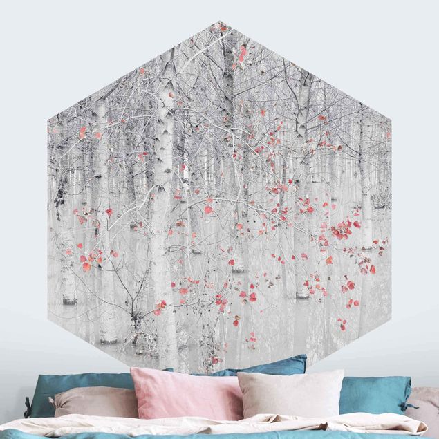 Papier peint moderne Forêt de bouleaux avec feuilles rose clair