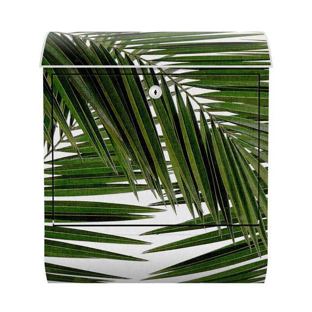 Boites aux lettres avec paysage Vue à travers des feuilles de palmier vertes