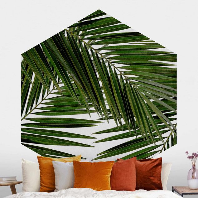 Déco mur cuisine Vue à travers des feuilles de palmier vertes