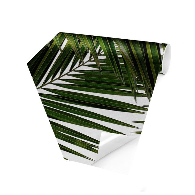 papier peint xxl Vue à travers des feuilles de palmier vertes