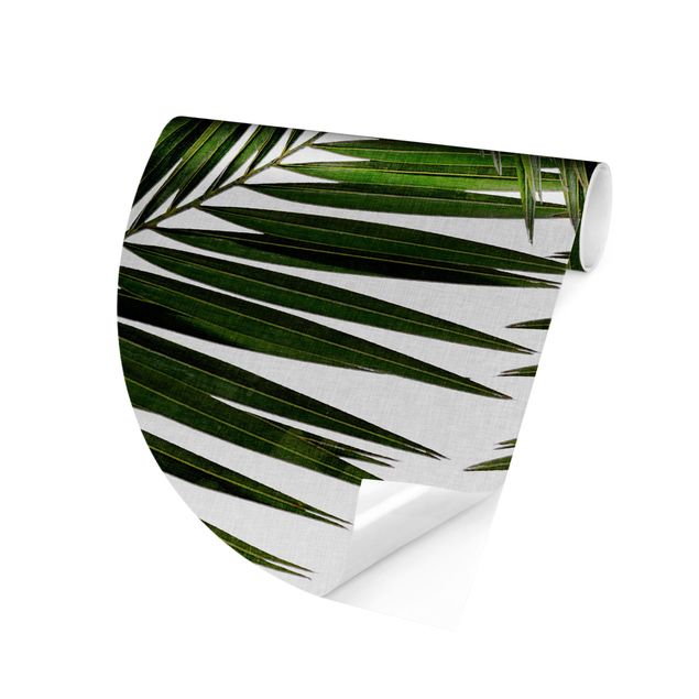 papier peint fleuri Vue à travers des feuilles de palmier vertes