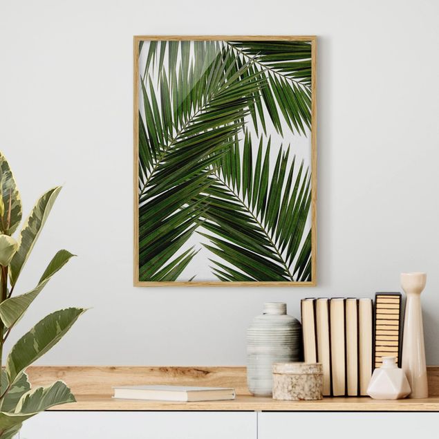 Tableau paysages Vue à travers des feuilles de palmier vertes