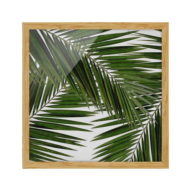 tableaux floraux Vue à travers des feuilles de palmier vertes