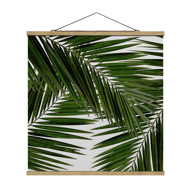 Tableaux fleurs Vue à travers des feuilles de palmier vertes