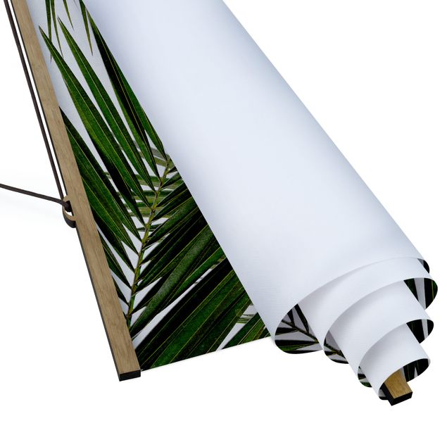 Tableaux nature Vue à travers des feuilles de palmier vertes
