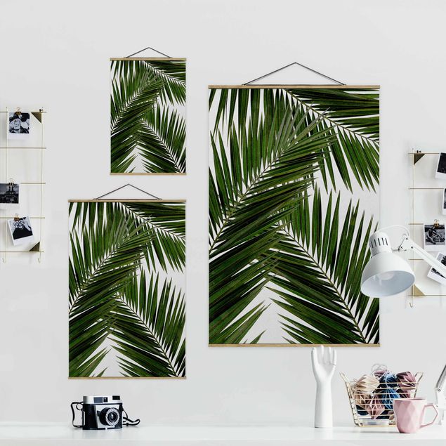Tableau couleur vert Vue à travers des feuilles de palmier vertes