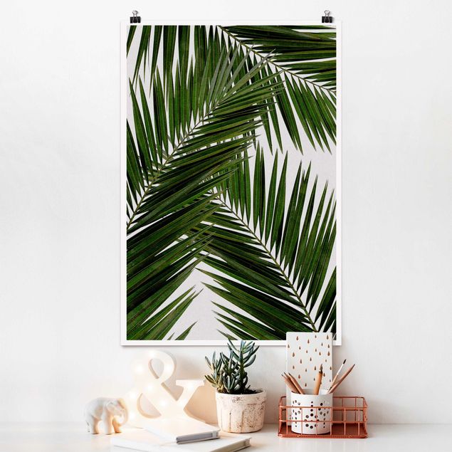 Décorations cuisine Vue à travers des feuilles de palmier vertes