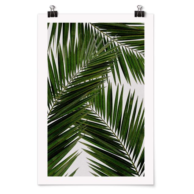 Tableaux fleurs Vue à travers des feuilles de palmier vertes