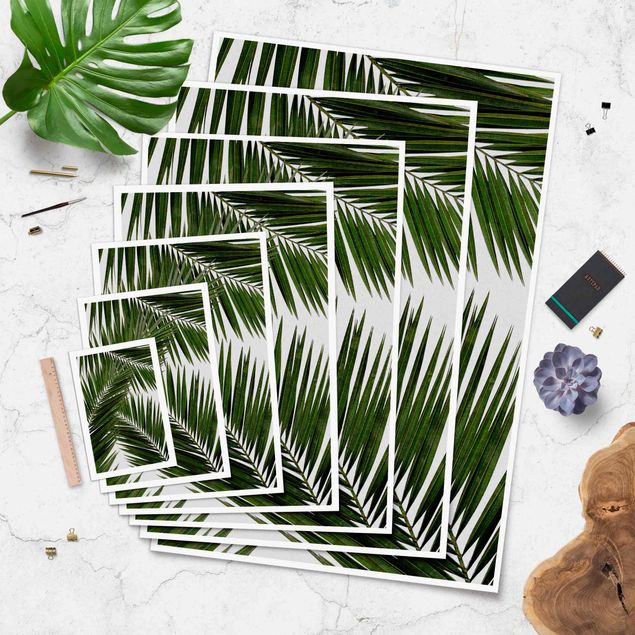 Posters Vue à travers des feuilles de palmier vertes