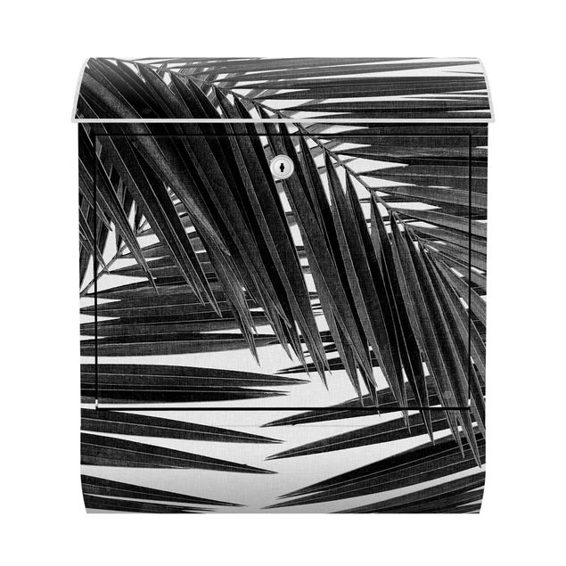 Boites aux lettres noir et blanc Vue sur des feuilles de palmier noir et blanc