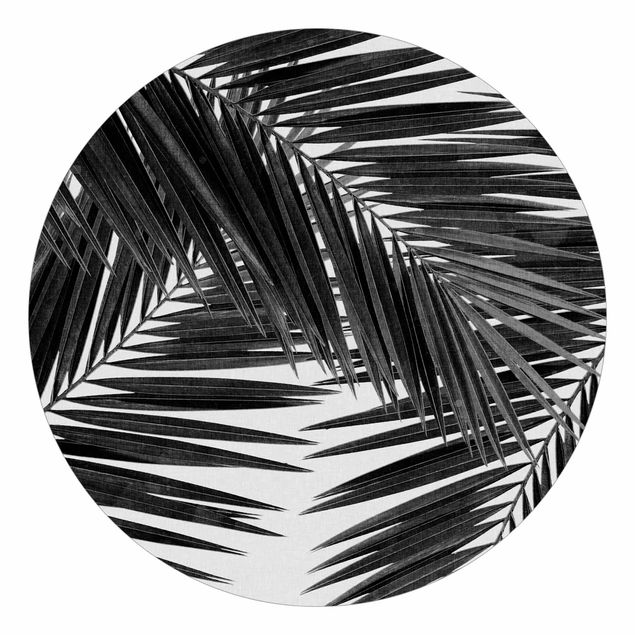 Papier peint panoramique noir et blanc Vue sur des feuilles de palmier noir et blanc