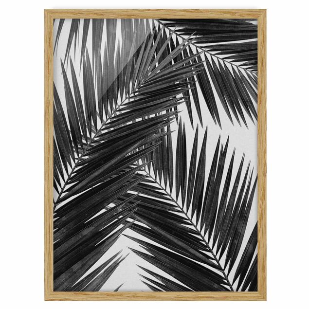 Tableaux encadrés noir et blanc Vue sur des feuilles de palmier noir et blanc