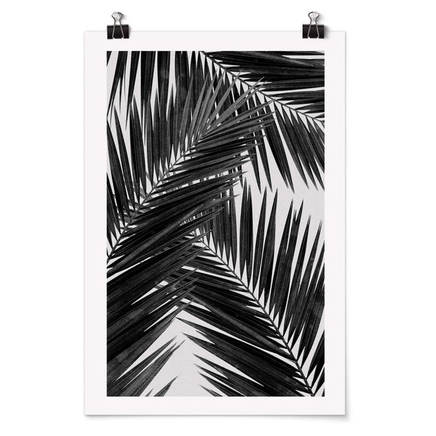 Posters en noir et blanc Vue sur des feuilles de palmier noir et blanc