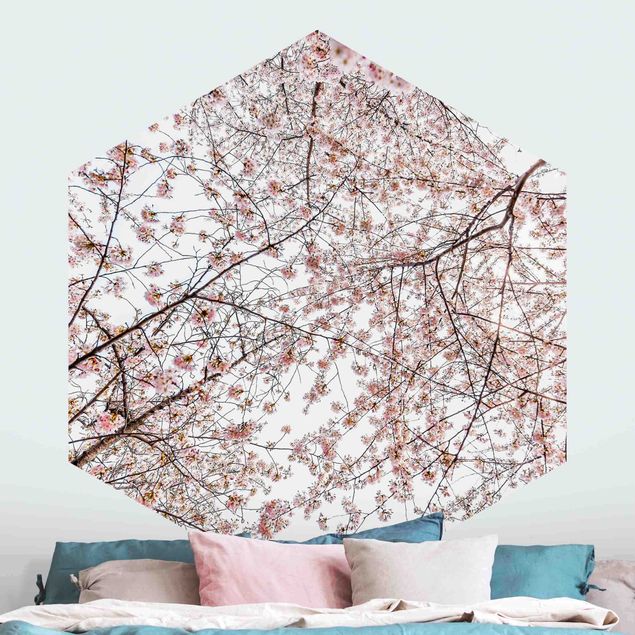 Déco murale cuisine Glance Upon Blossoming Cherry Branches