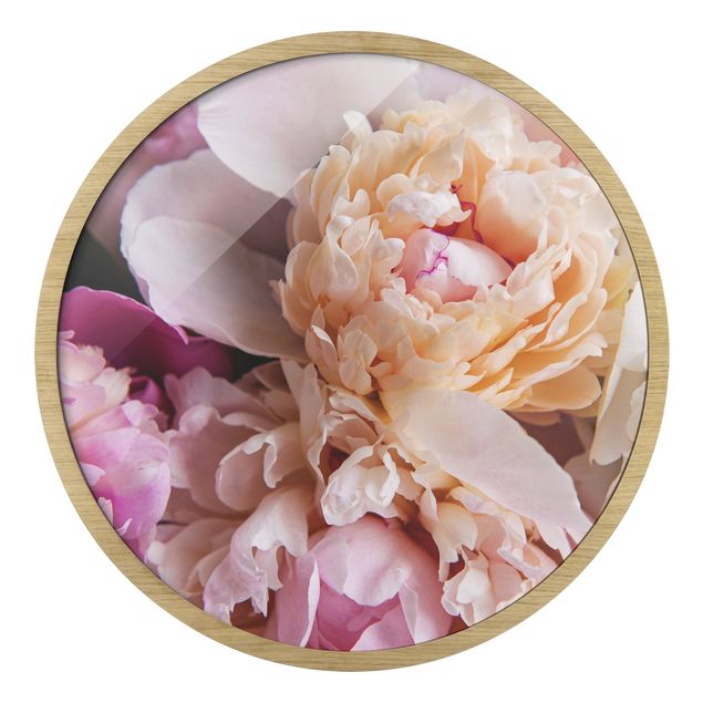 Tableaux rose Pivoine en fleur