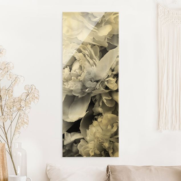 Tableaux en verre roses Blossoming Peonies Black And White