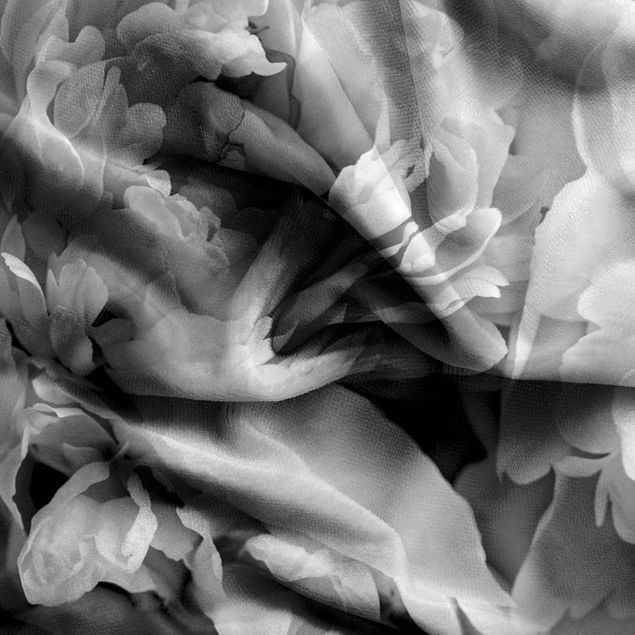 rideau fleurie Blossoming Peonies Black And White