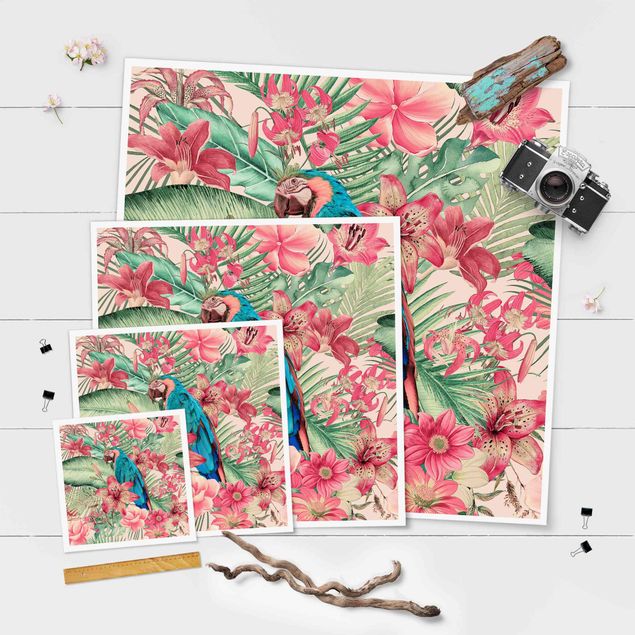 Posters muraux Paradis floral Perroquet Tropical