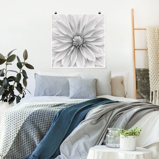 Posters fleurs Fleurs Botaniques En Blanc