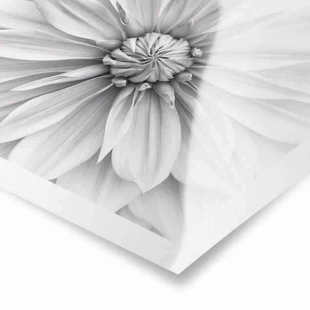 Tableau décoration Fleurs Botaniques En Blanc