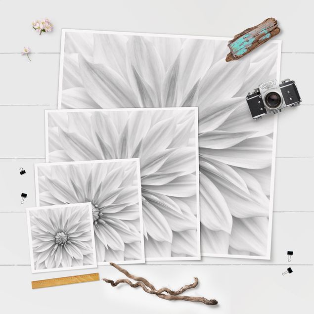 Poster - Botanical Blossom In White