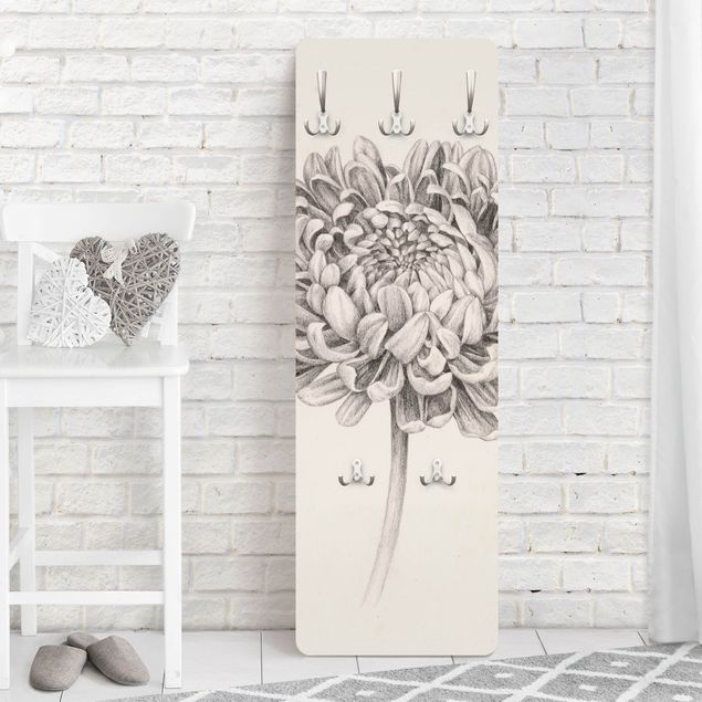 Porte-manteaux muraux avec fleurs Étude botanique Chrysanthème II