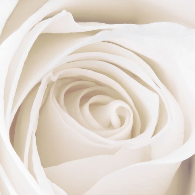 Boite aux lettres - Pretty White Rose
