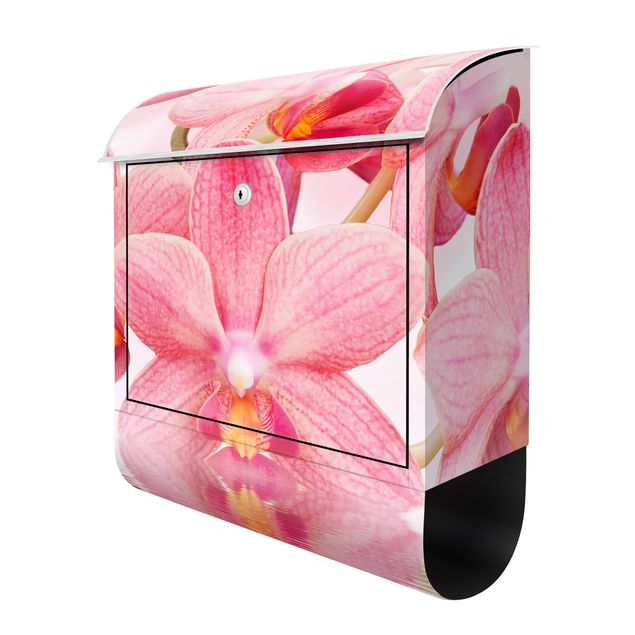 boite aux lettres moderne Orchidée rose clair sur l'eau