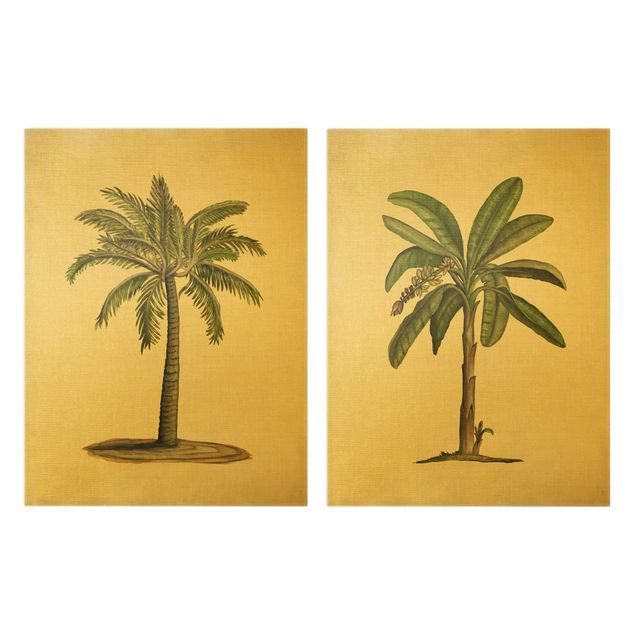 Tableau décoration Lot de palmier britannique