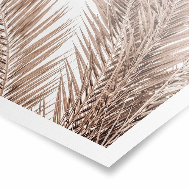 Tableaux nature Feuilles de palmier couleur bronze