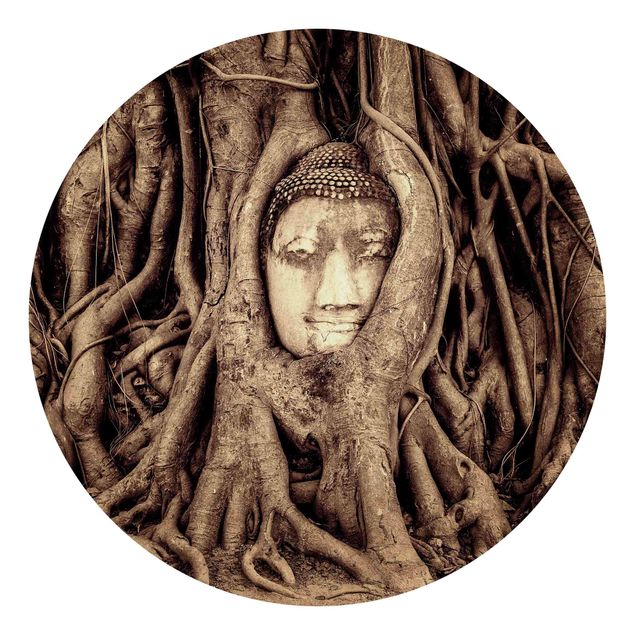 Papier peint rétro Bouddha d'Ayutthaya doublé de racines d'arbre en brun