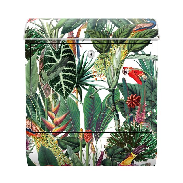 Boite aux lettres animaux Motif coloré forêt tropicale humide