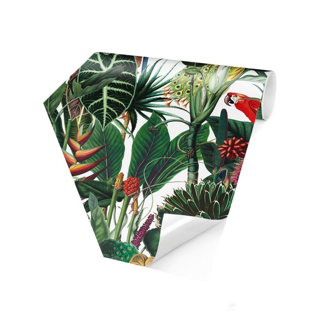 Papier peint animaux Motif coloré forêt tropicale humide