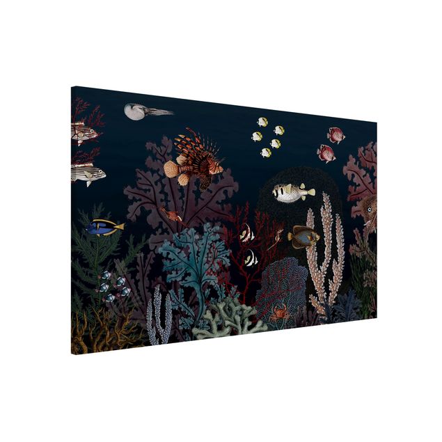 Tableau paysage Récif corallien coloré la nuit