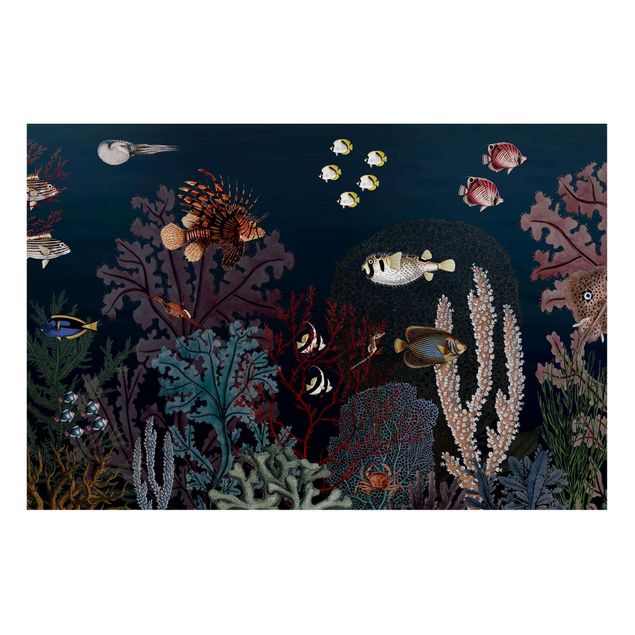 Tableau mer Récif corallien coloré la nuit