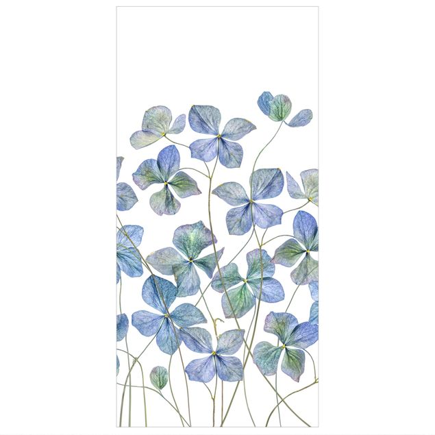 Panneau de séparation - Blue Hydrangea Flowers