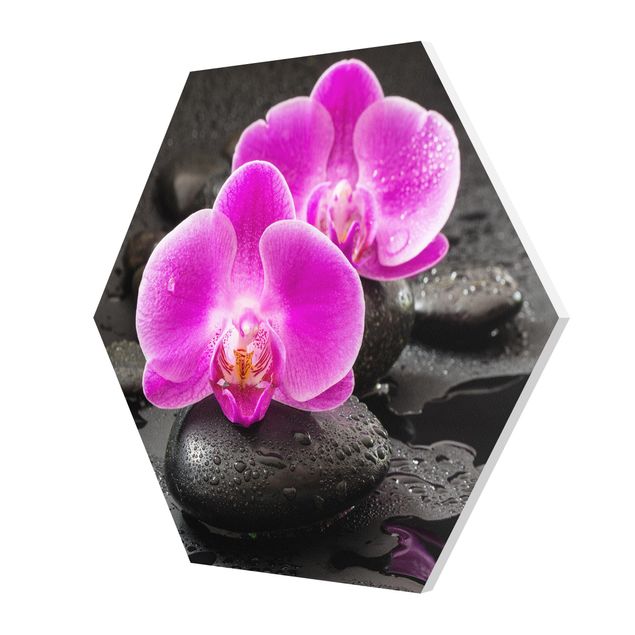 Tableaux forex Fleur Orchidée Rose sur Pierres avec Gouttes