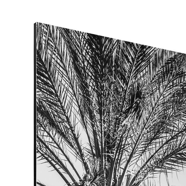 Tableau nature Palmiers au coucher du soleil noir et blanc