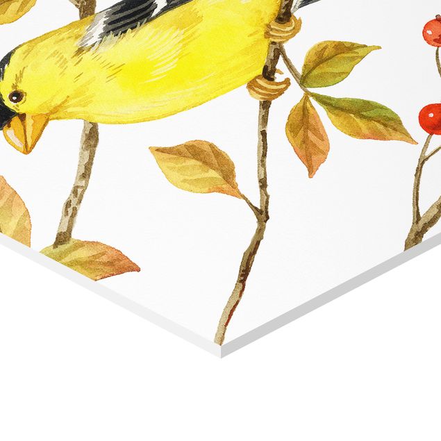 Hexagone en forex - Birds And Berries - American Goldfinch