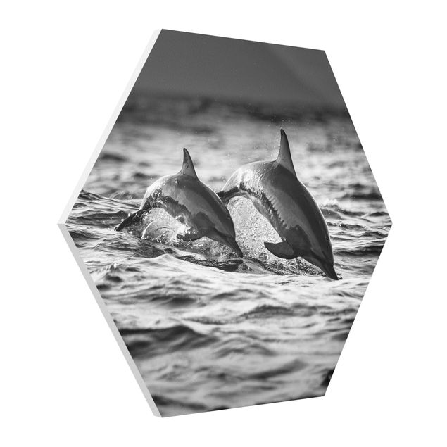 Cadre animaux Deux dauphins qui sautent
