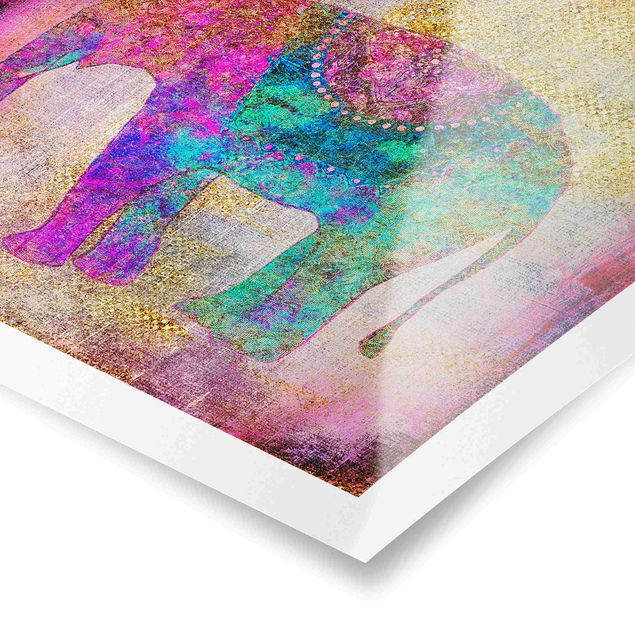 Tableaux multicolore Collage coloré - Éléphant indien