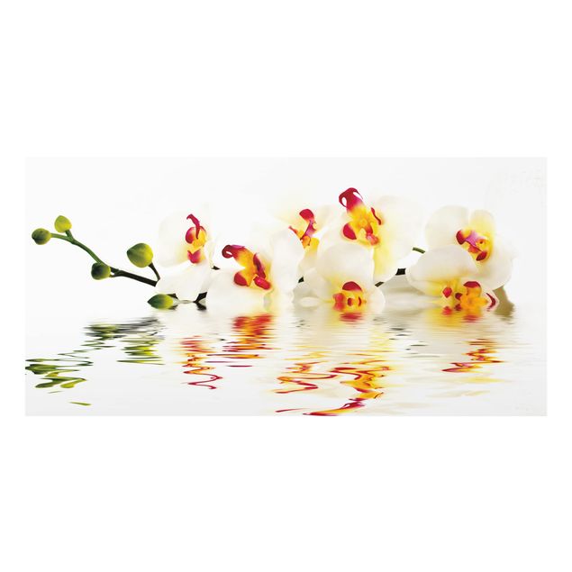 Fond de hotte - Vivid Orchid Waters