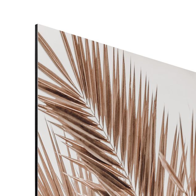 Tableau nature Feuilles de palmier couleur bronze